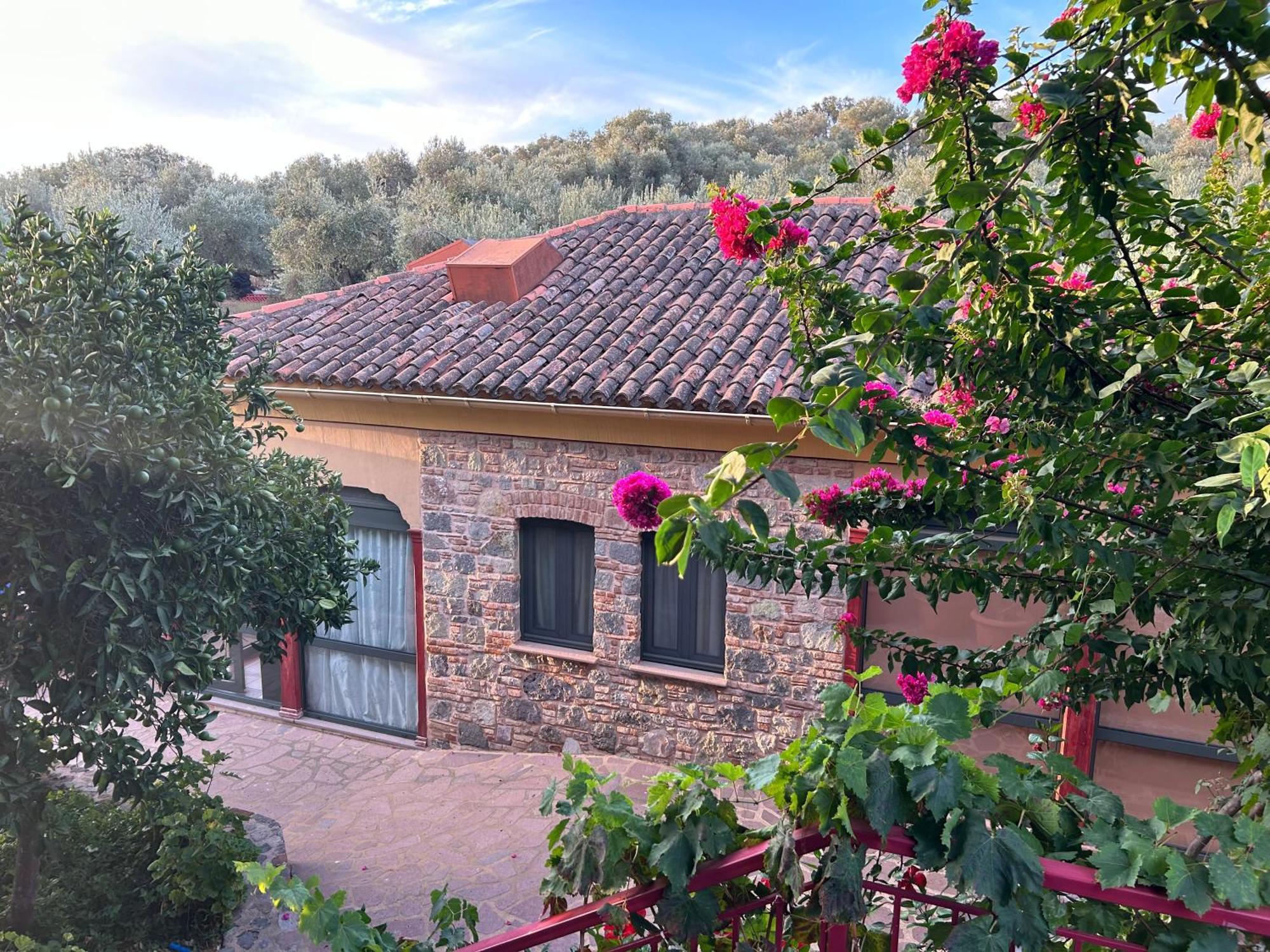 Villa Daphnis & Chloe Pyrgi Thermis المظهر الخارجي الصورة