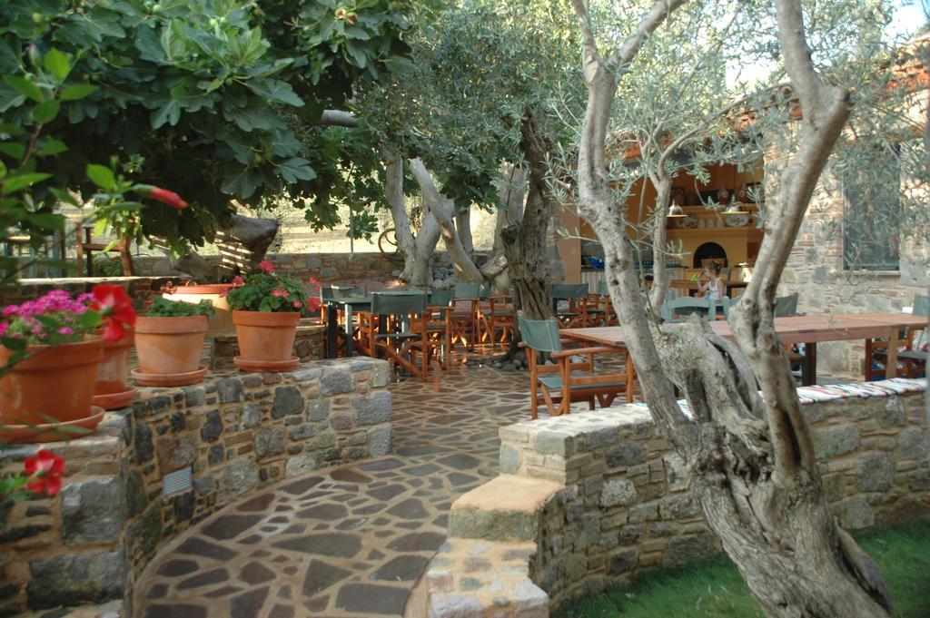 Villa Daphnis & Chloe Pyrgi Thermis المظهر الخارجي الصورة